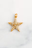 Crystal Encrusted Star Charm - Elizabeth Cole Jewelry