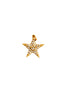 Crystal Encrusted Star Charm - Elizabeth Cole Jewelry