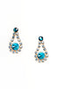 Danica Earrings - Elizabeth Cole Jewelry