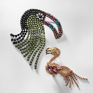 EC // FACTS: Why Are Tropical Birds So Colorful? - Elizabeth Cole Jewelry