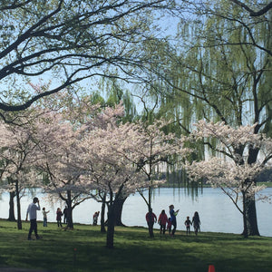 EC // TRAVELS: Easter in Our Nation's Capital - Elizabeth Cole Jewelry