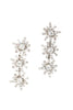 Reeva Earrings - Elizabeth Cole Jewelry
