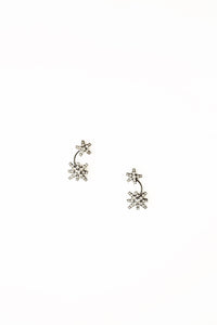 August Earrings - Elizabeth Cole Jewelry