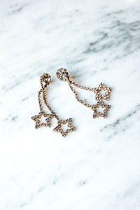 Lark Earrings - Elizabeth Cole Jewelry