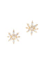 Twyla Earrings - Elizabeth Cole Jewelry